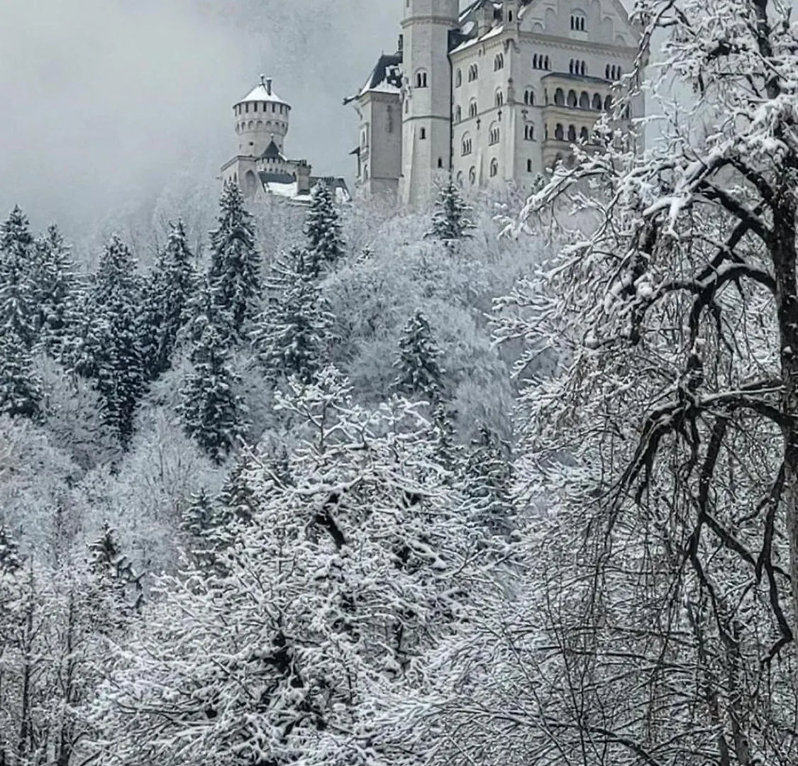 House La Neuschwanstein Blick - Budget City Hotel Füssen
